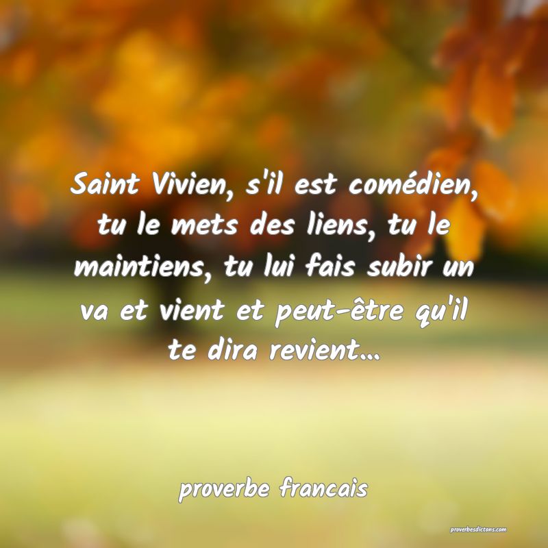 Saint Vivien, s'il est comédien, tu le mets des liens, tu le maintiens, tu lui fais subir un va et vient et peut-être qu'il te dira revient...