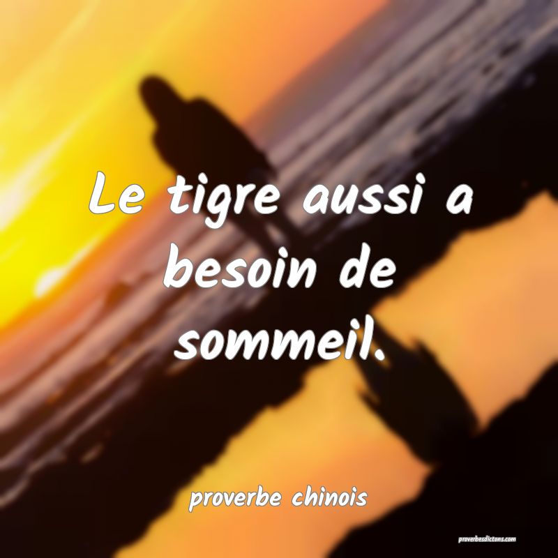  Le tigre aussi a besoin de sommeil.