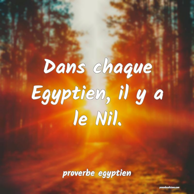  Dans chaque Egyptien, il y a le Nil.