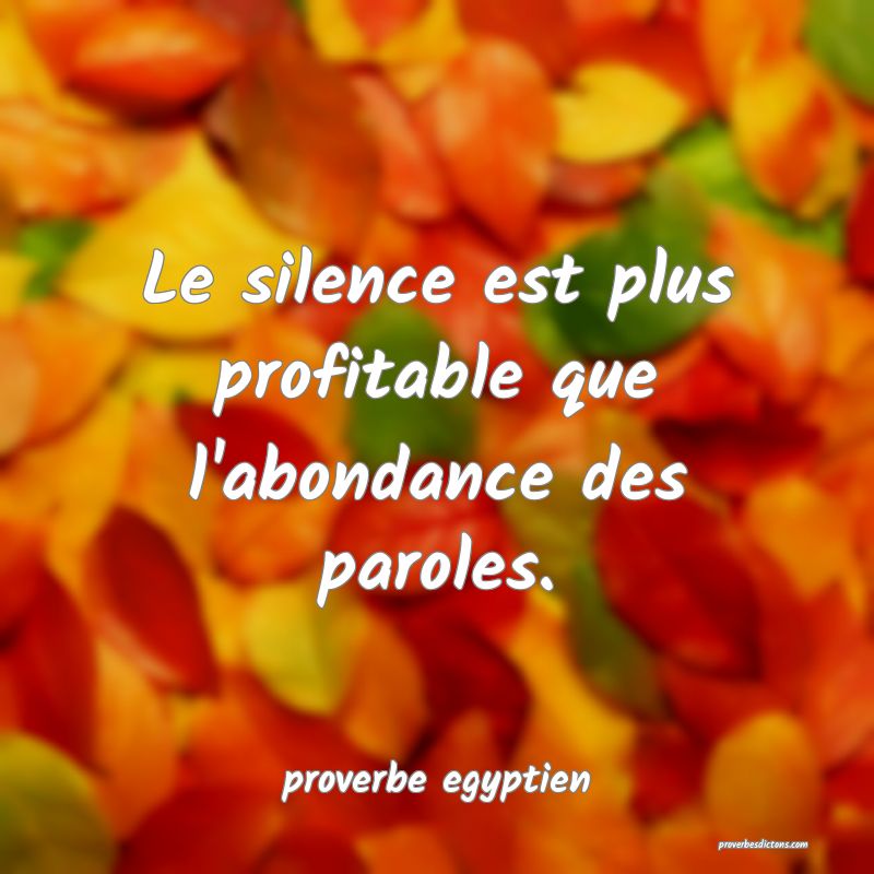  Le silence est plus profitable que l'abondance des paroles.