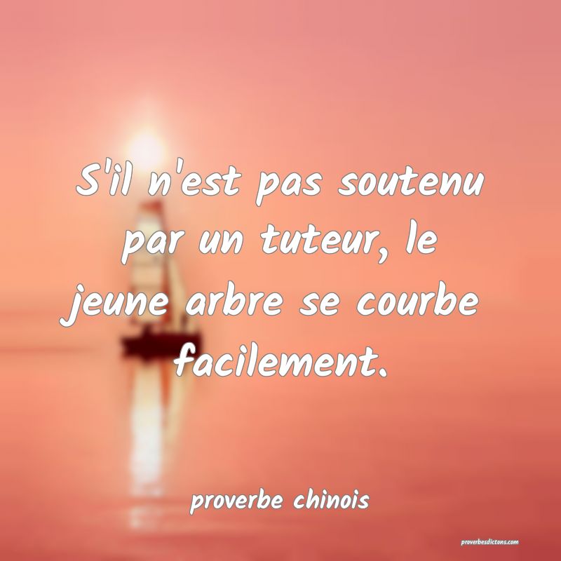  S'il n'est pas soutenu par un tuteur, le jeune arbre se courbe facilement.