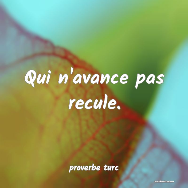  Qui n'avance pas recule.