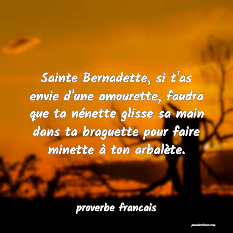 Sainte Bernadette, si t'as envie d'une amourette, faudra que ta nénette glisse sa main dans ta braguette pour faire minette à ton arbalète.