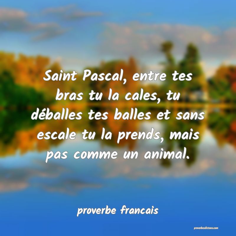 Saint Pascal, entre tes bras tu la cales, tu déballes tes balles et sans escale tu la prends, mais pas comme un animal.