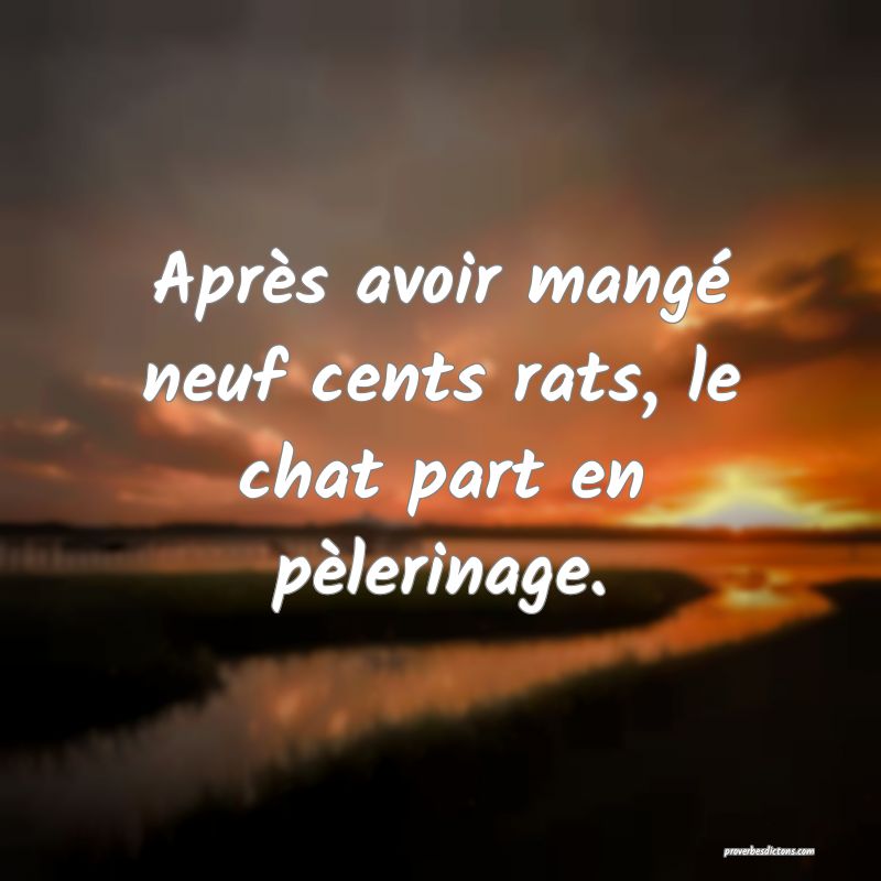 Après avoir mangé neuf cents rats, le chat part en pèlerinage.