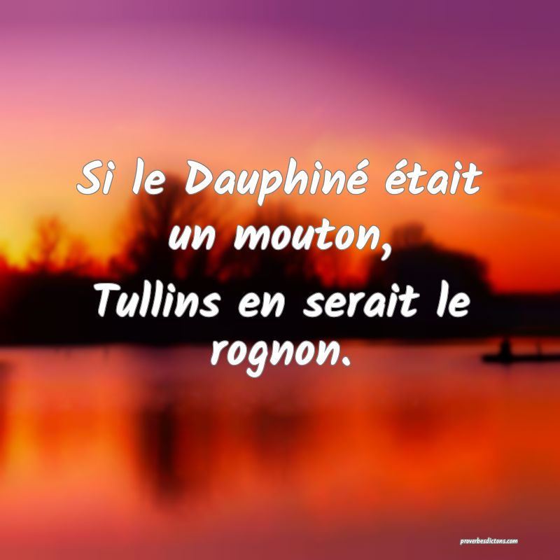 Si le Dauphiné était un mouton,
Tullins en serait le rognon.