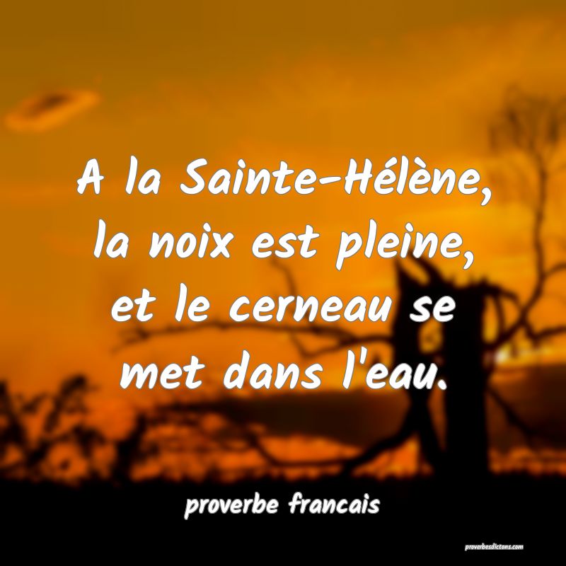 A la Sainte-Hélène, la noix est pleine, et le cerneau se met dans l'eau.