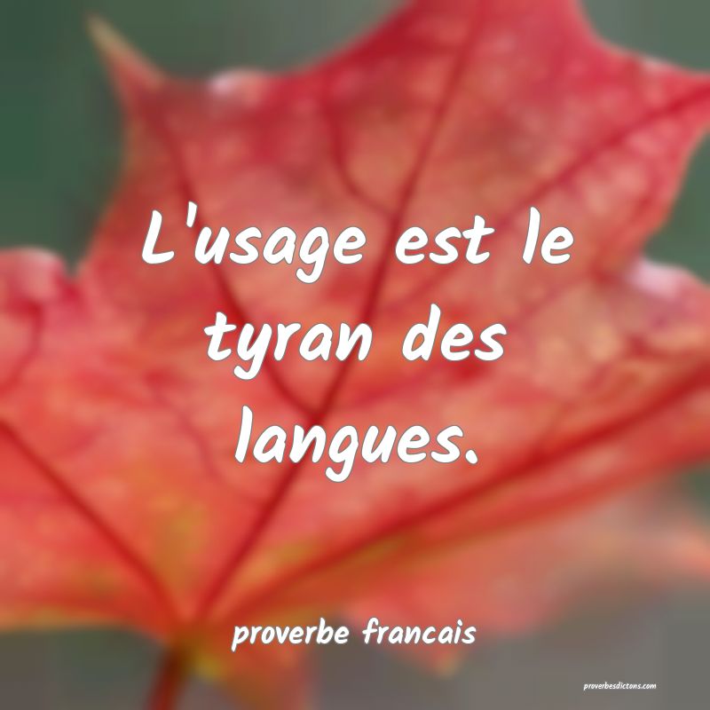 L'usage est le tyran des langues.
