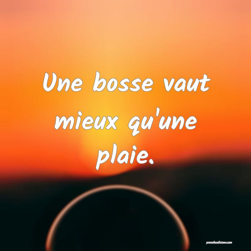 Une bosse vaut mieux qu'une plaie.