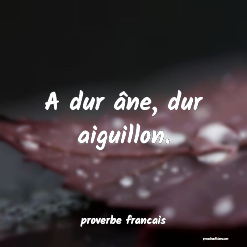 A dur âne, dur aiguillon.