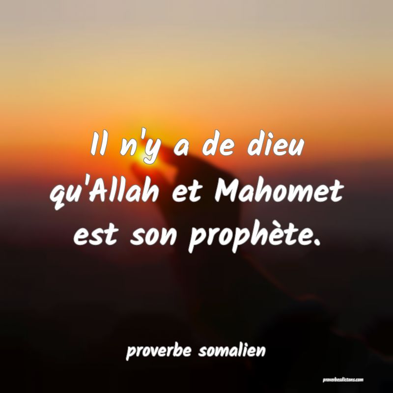  Il n'y a de dieu qu'Allah et Mahomet est son prophète.