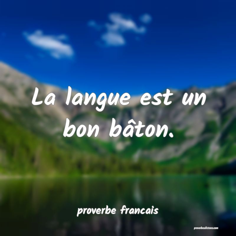 La langue est un bon bâton.